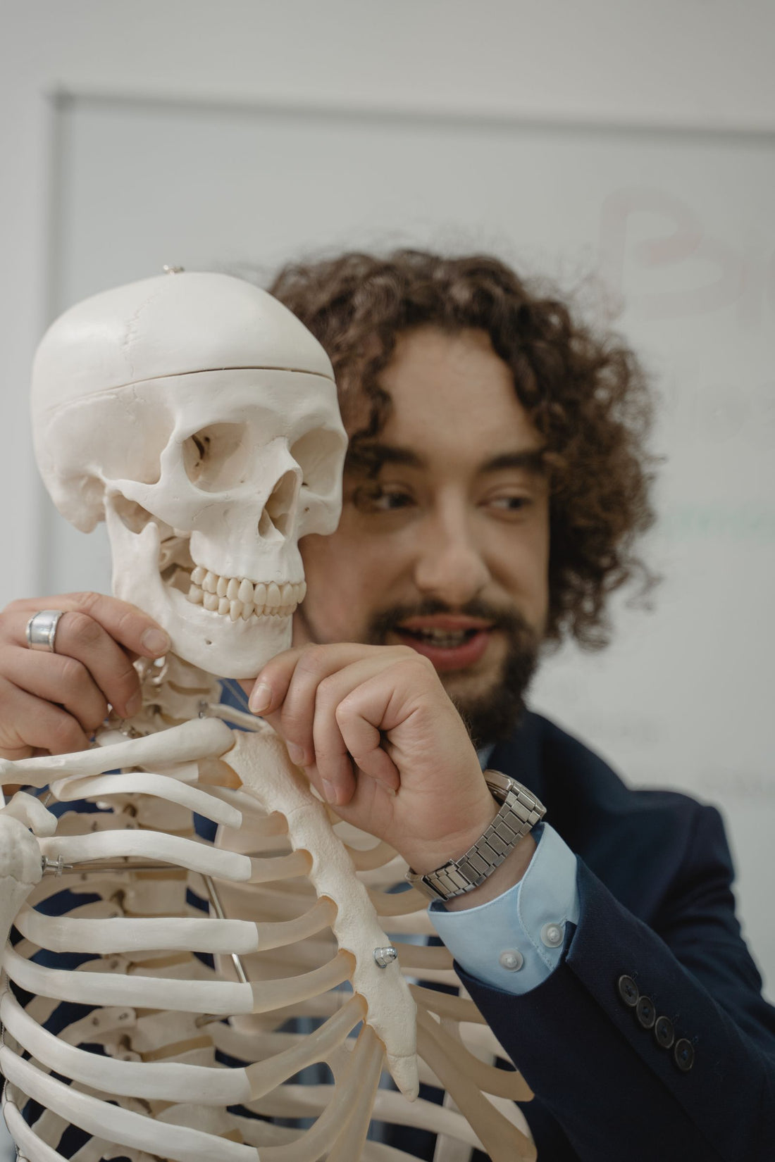 Anatomy lesson with a skeleton model